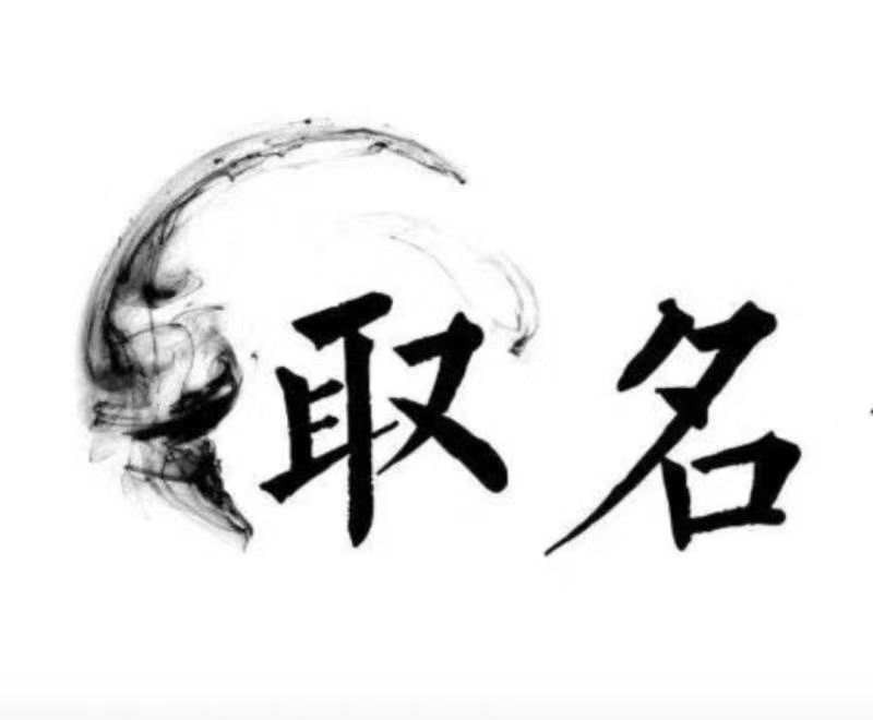  松江宝宝取名 大师一对一人工起名